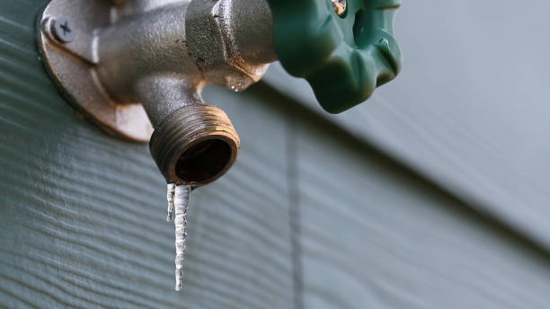 Best Drain Cleaning Services  in Van Meter, IA